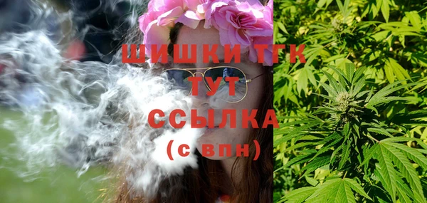 эйфоретик Аркадак