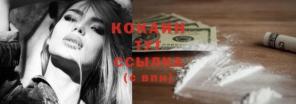 индика Баксан