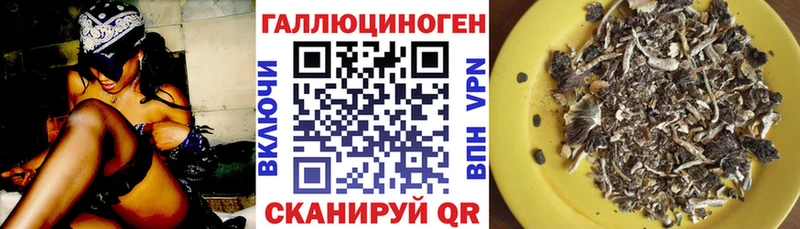 Псилоцибиновые грибы GOLDEN TEACHER Белая Холуница